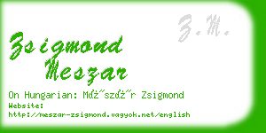 zsigmond meszar business card